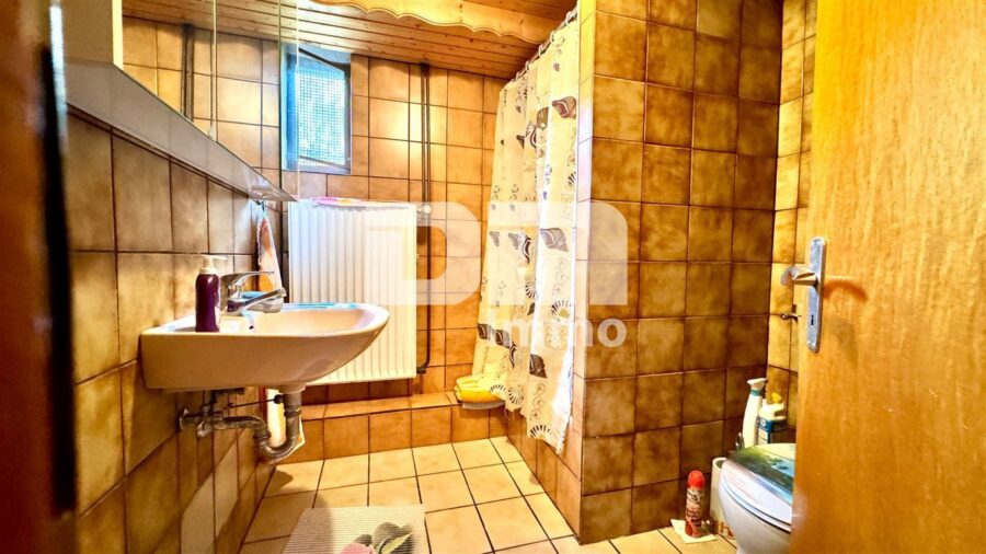 Schönes 1 - 2 Familienhaus mit riesigem Grundstück, Doppelgarage und umfangreichen Nutzflächen - KG Bad / Dusche / WC